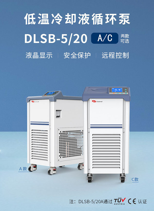 DLSB系列低溫冷卻液循環泵
